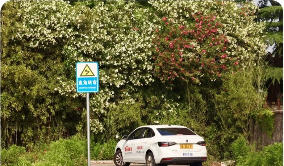 驾小易校区训练场景